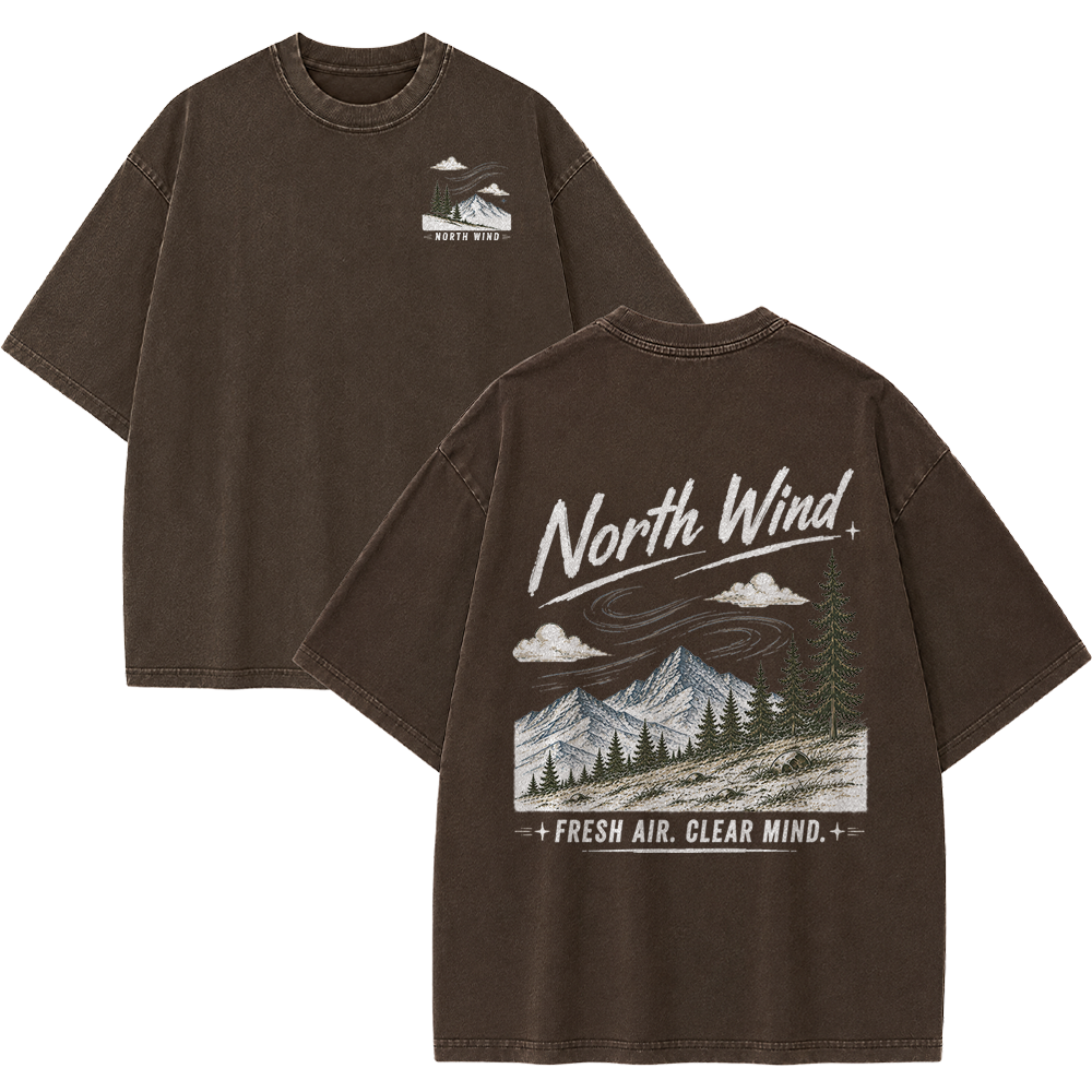 North Wind Through Alpine Peaks Vintage Washed T-Shirt